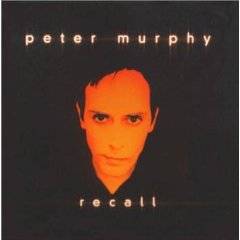 Peter Murphy : Recall